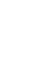 Emlika horizontal logo